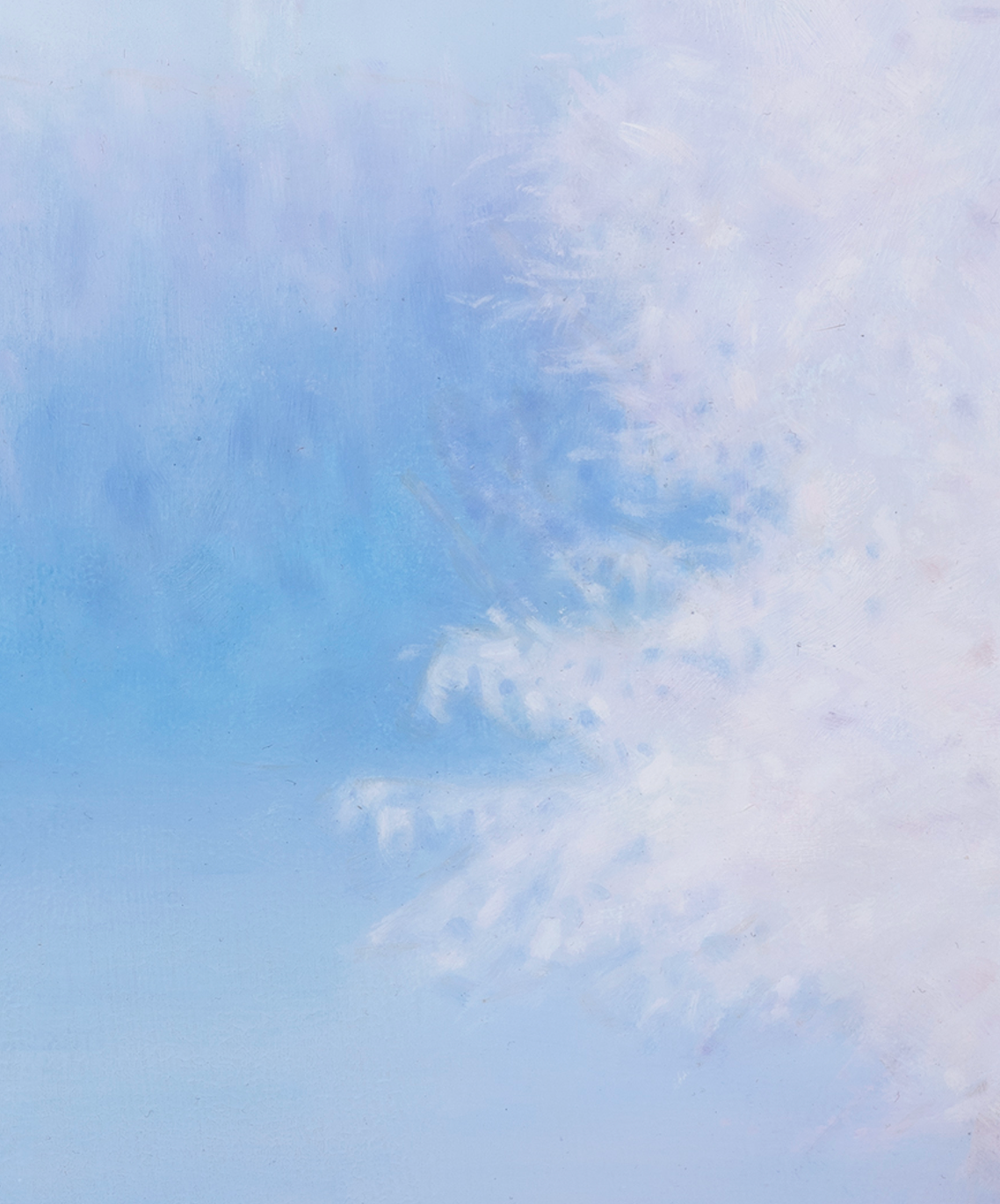 Envol dans la brume givrée | Xinyu Zhao
