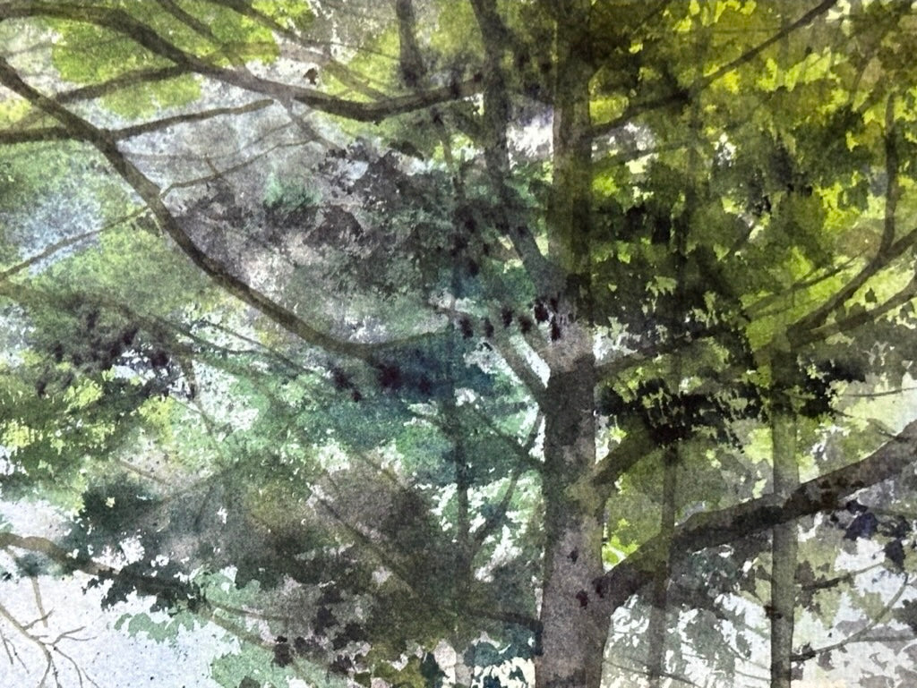 Le Pavillon à l'Ombre | Alix XU