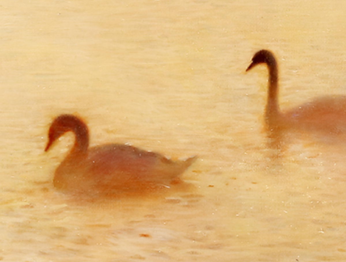 Cygnes ｜ Xinyu Zhao