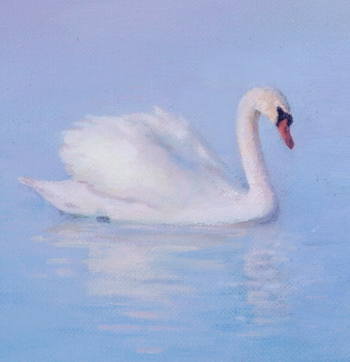 Cygne sur le lac embrumé ｜ Xinyu Zhao