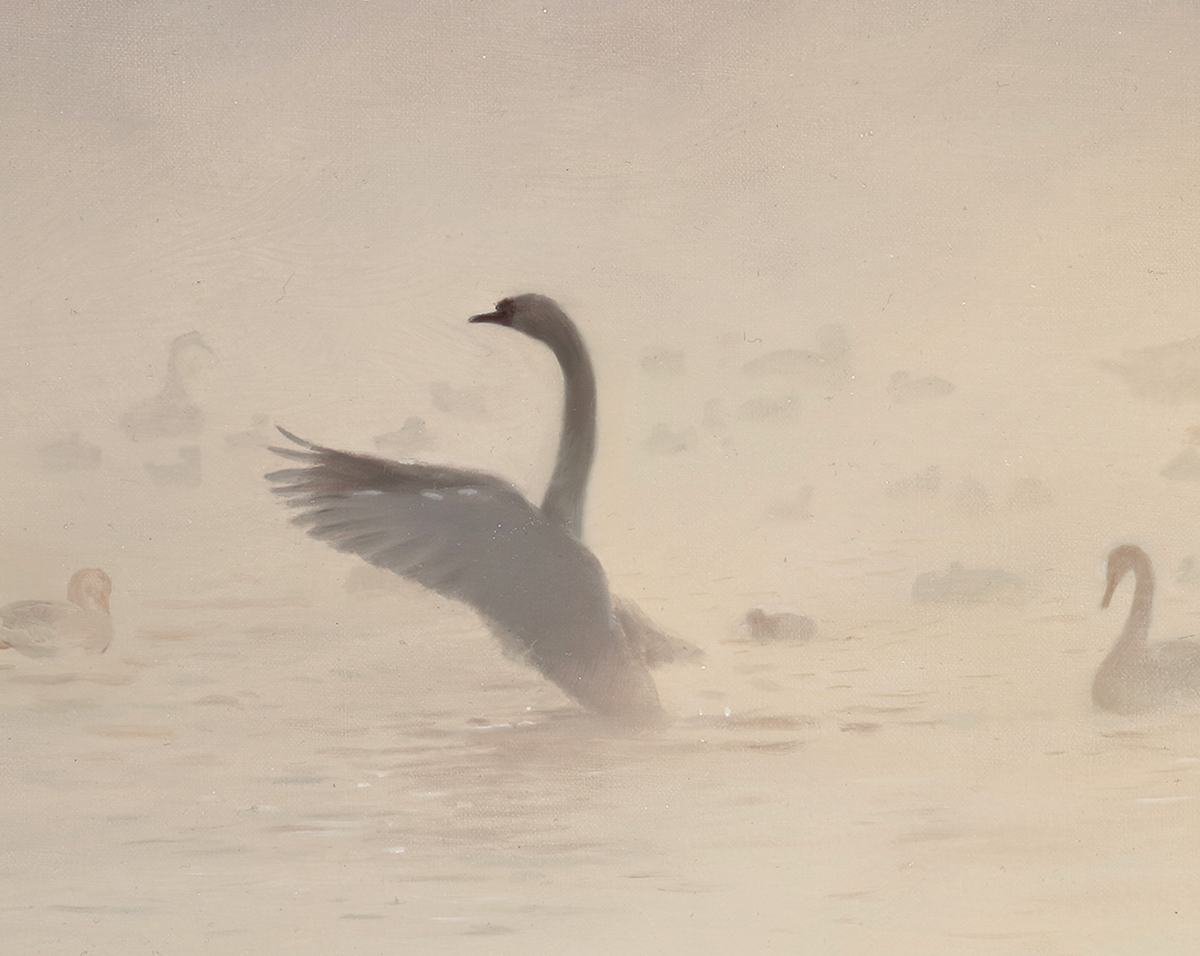 Cygnes dans la brume ondoyante ｜ Xinyu Zhao