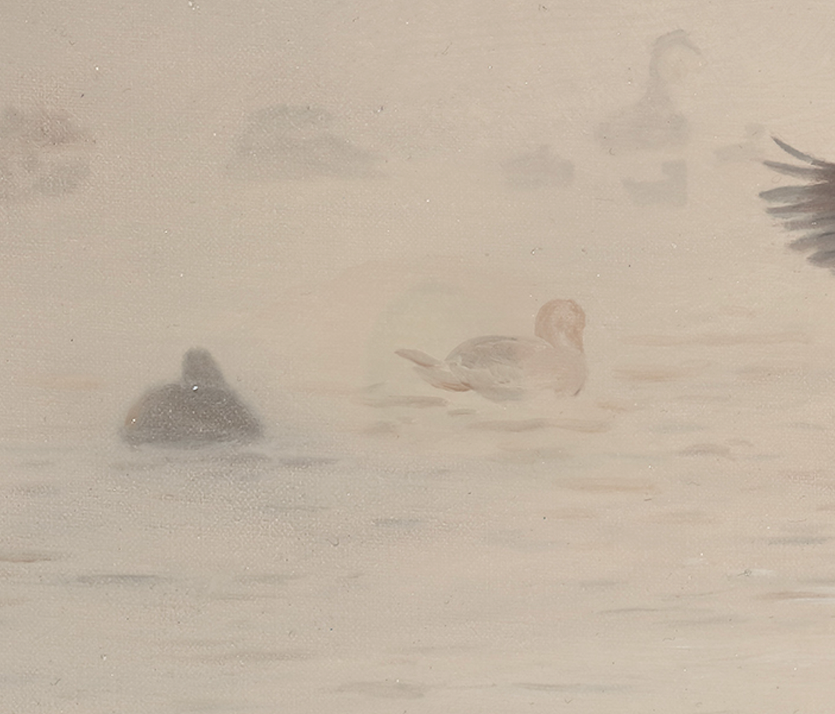 Cygnes dans la brume ondoyante ｜ Xinyu Zhao