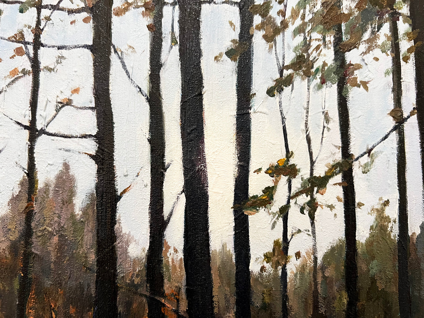 Fin d’automne | Amy WANG