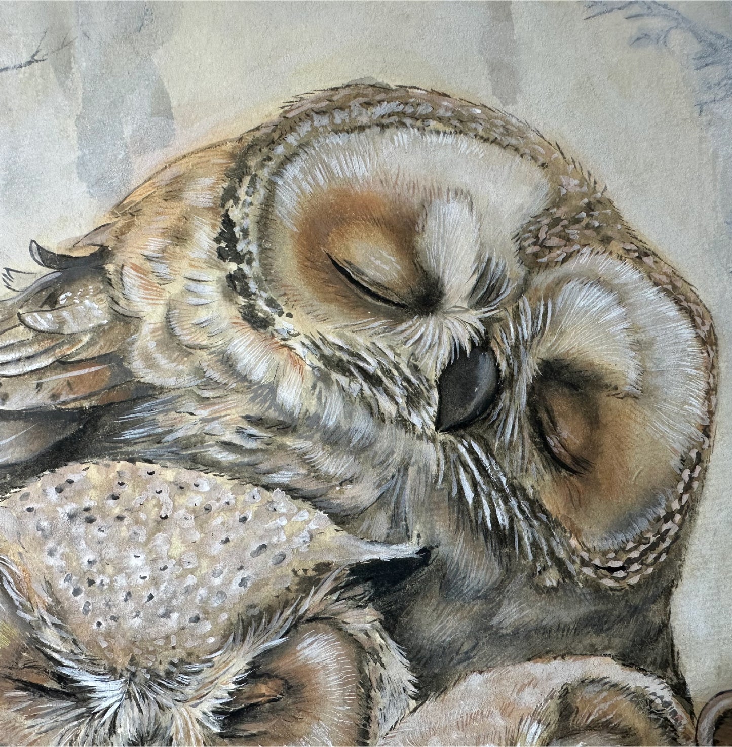 Berceuse Des Plumes | Alix XU