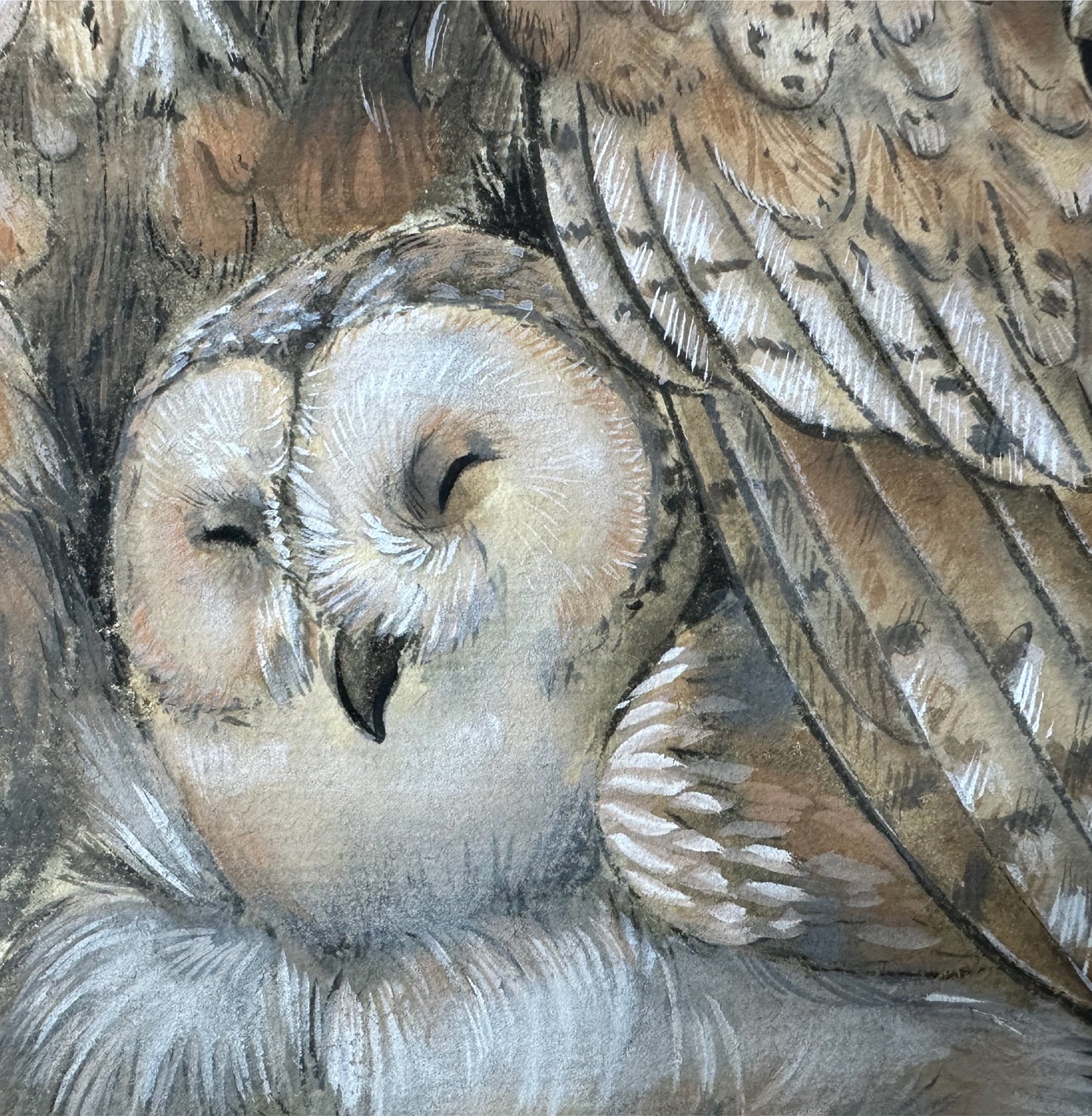 Berceuse Des Plumes | Alix XU