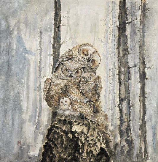 Berceuse Des Plumes | Alix XU