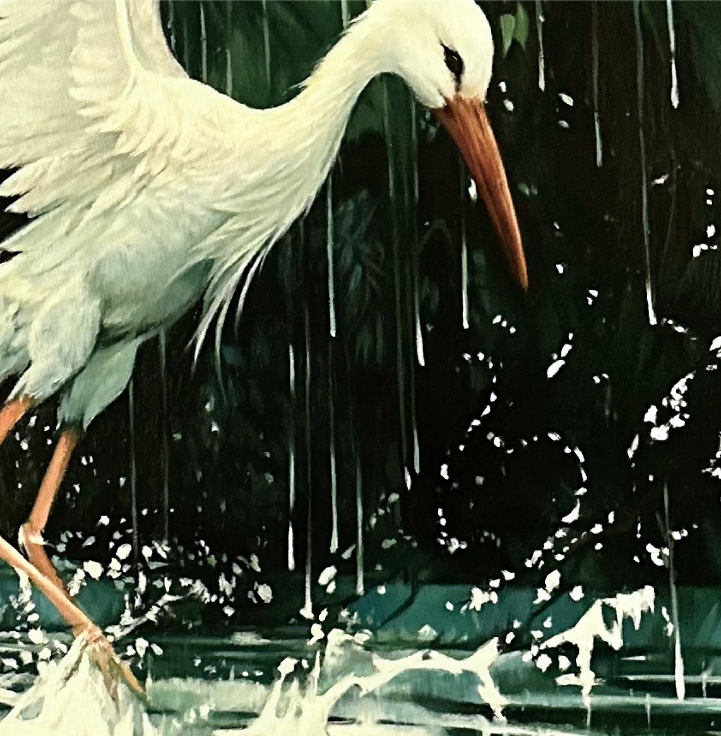 Danse Pluviale | Alix XU