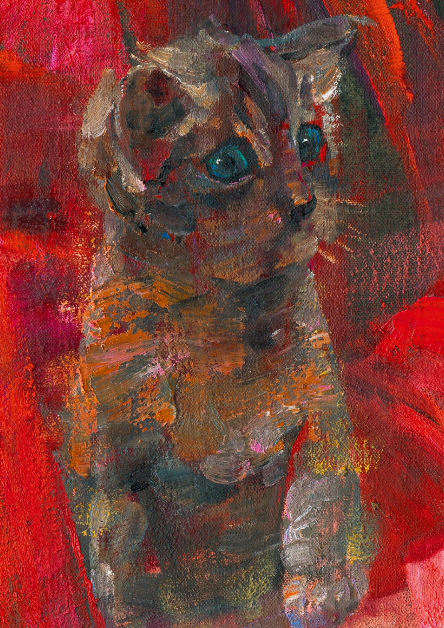 Fille tadjike et chaton | Yaya YAN