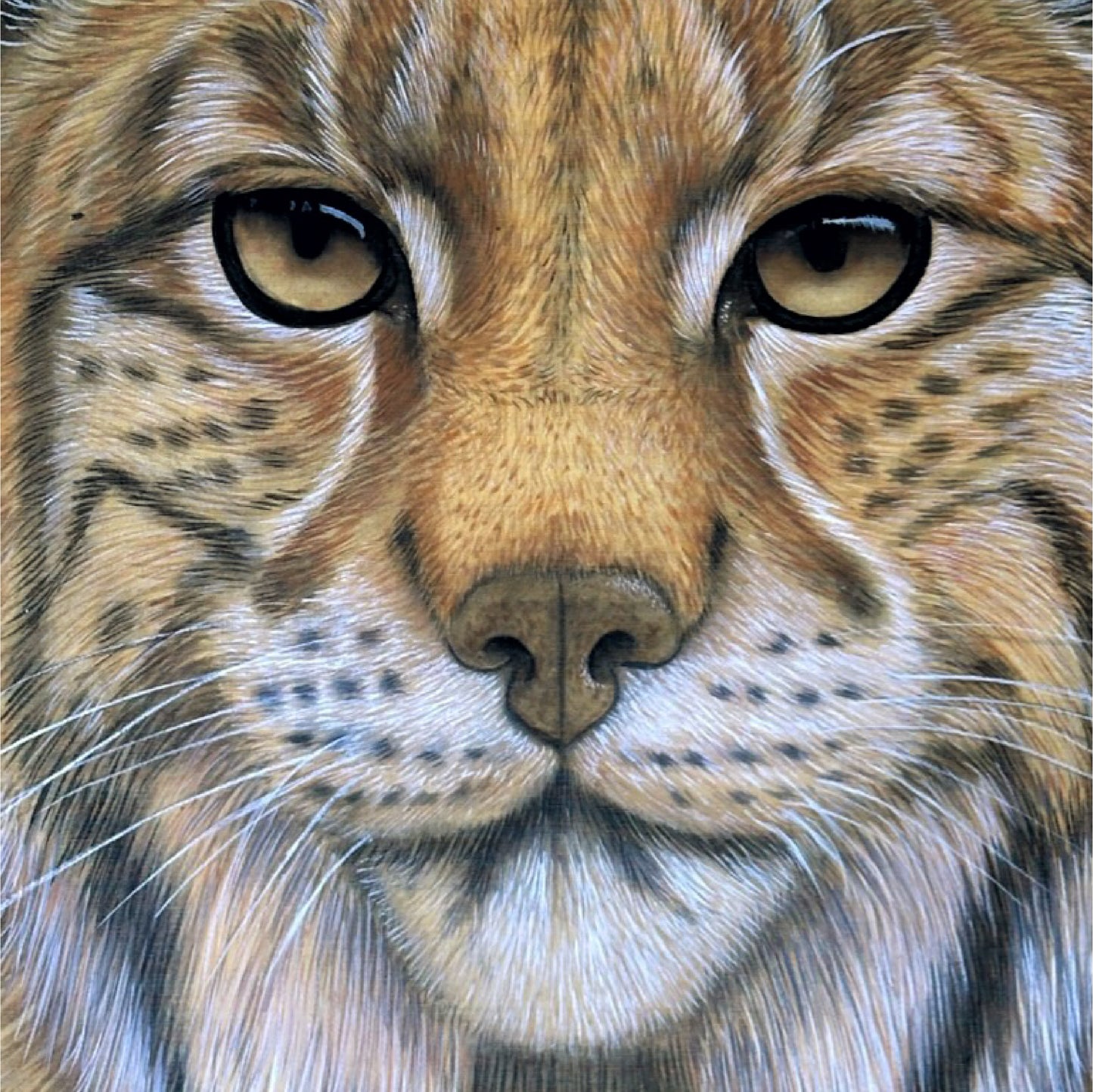 Le regard suspendu | Alix XU