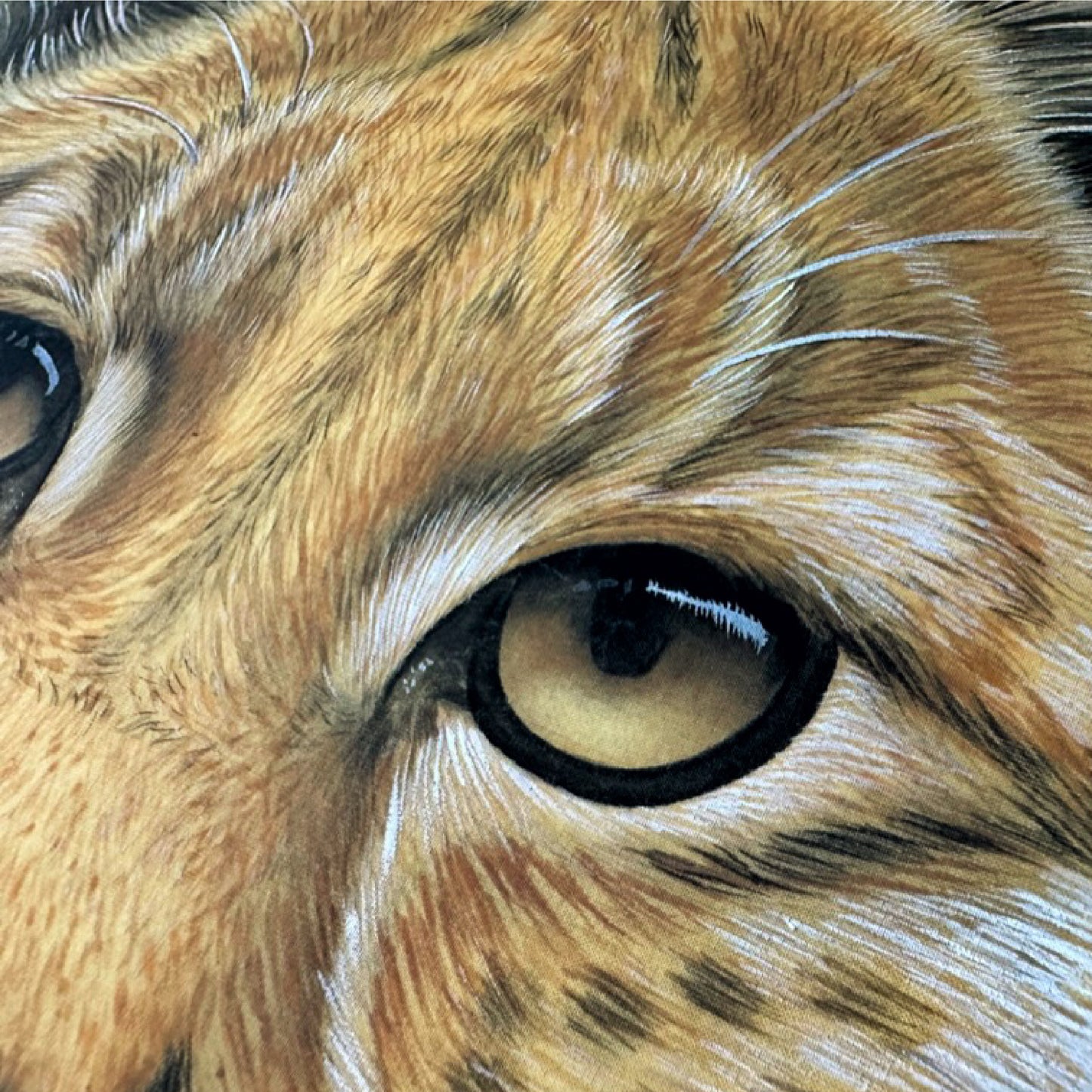 Le regard suspendu | Alix XU