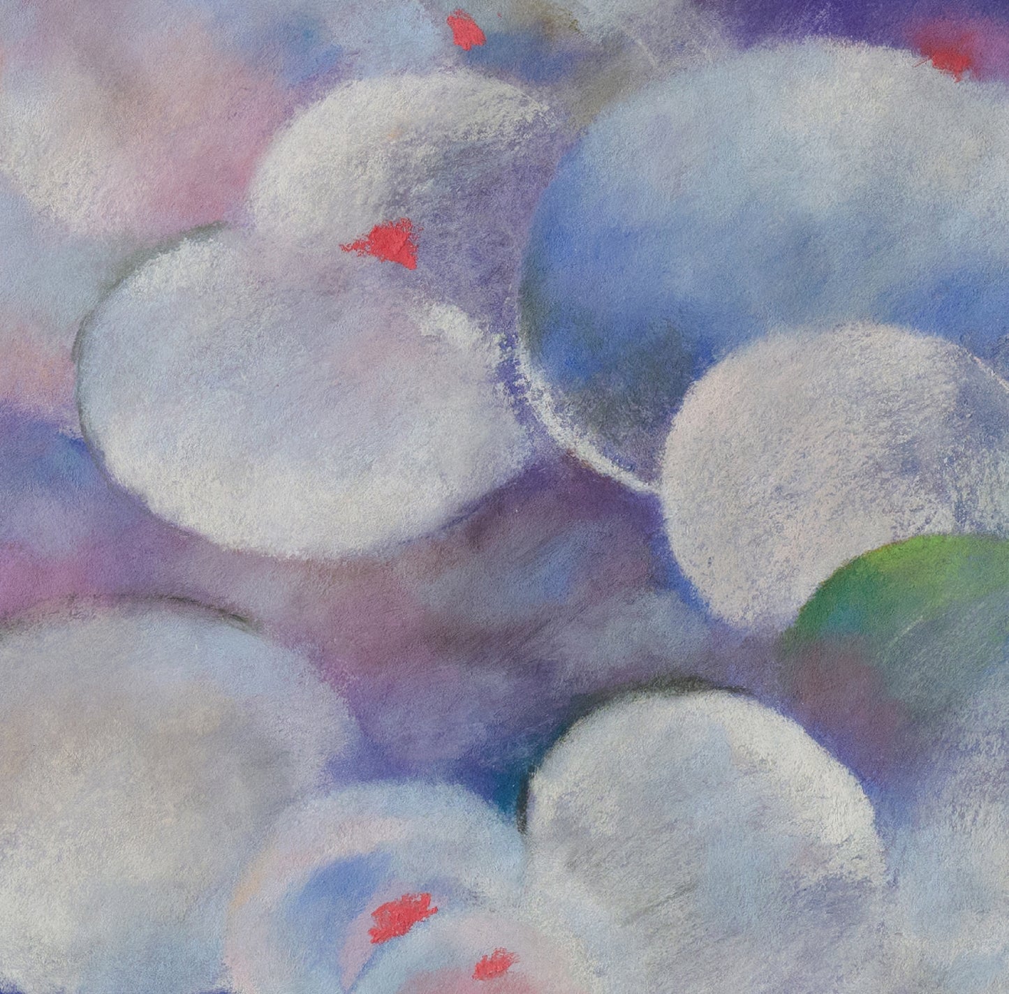 Plant a seed of thought | Qin HAN