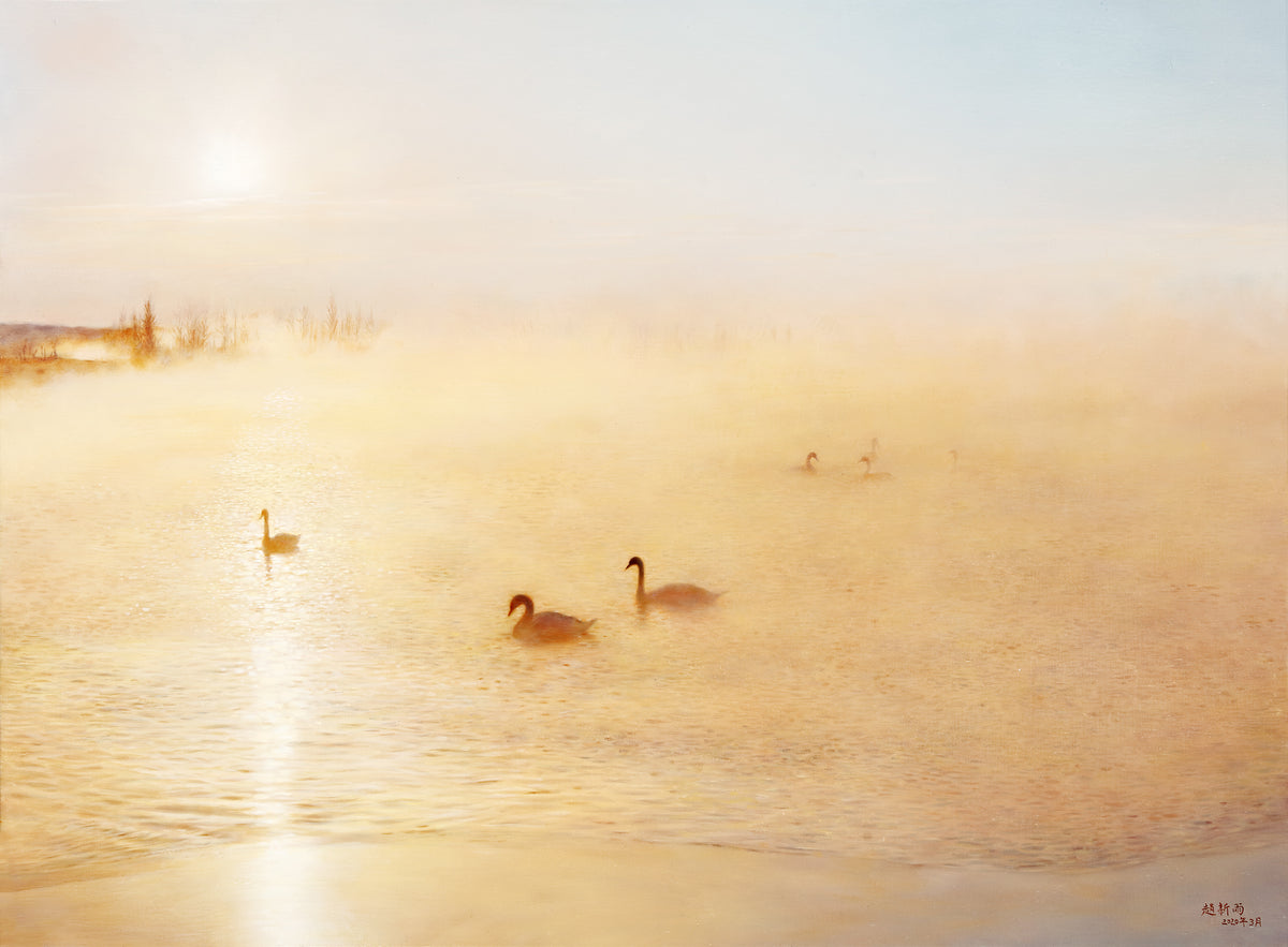 Cygnes ｜ Xinyu Zhao
