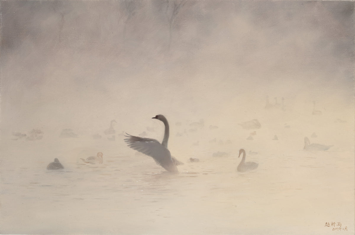 Cygnes dans la brume ondoyante ｜ Xinyu Zhao