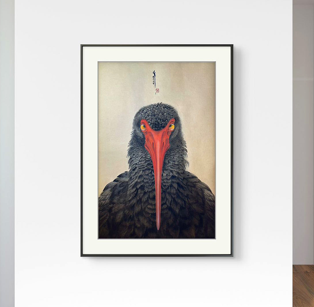 L’observateur | Alix XU