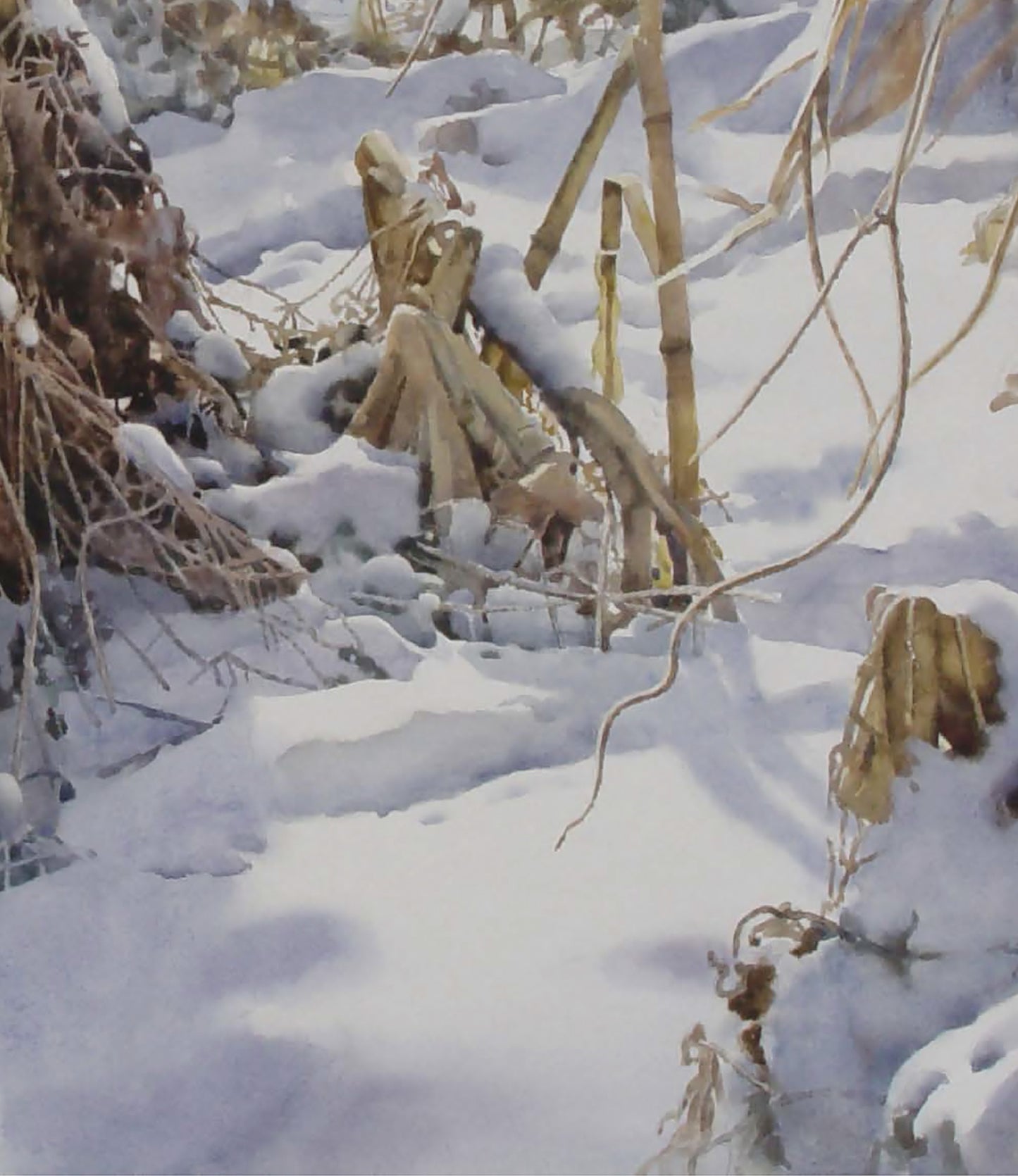 La Saison Perdue | Baojian YU