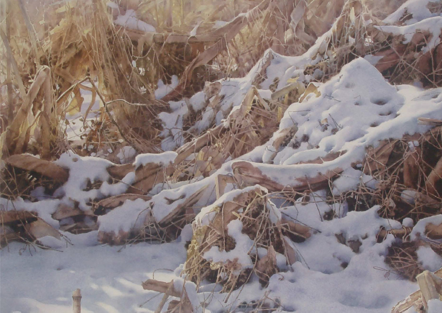 Le Soleil après la Neige | Baojian YU