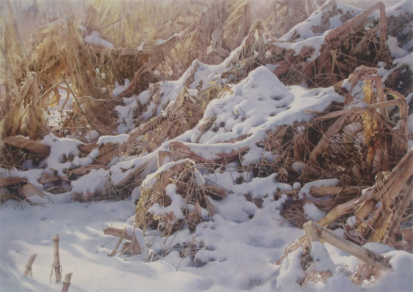 Le Soleil après la Neige | Baojian YU
