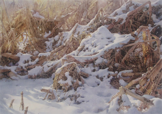 Le Soleil après la Neige | Baojian YU